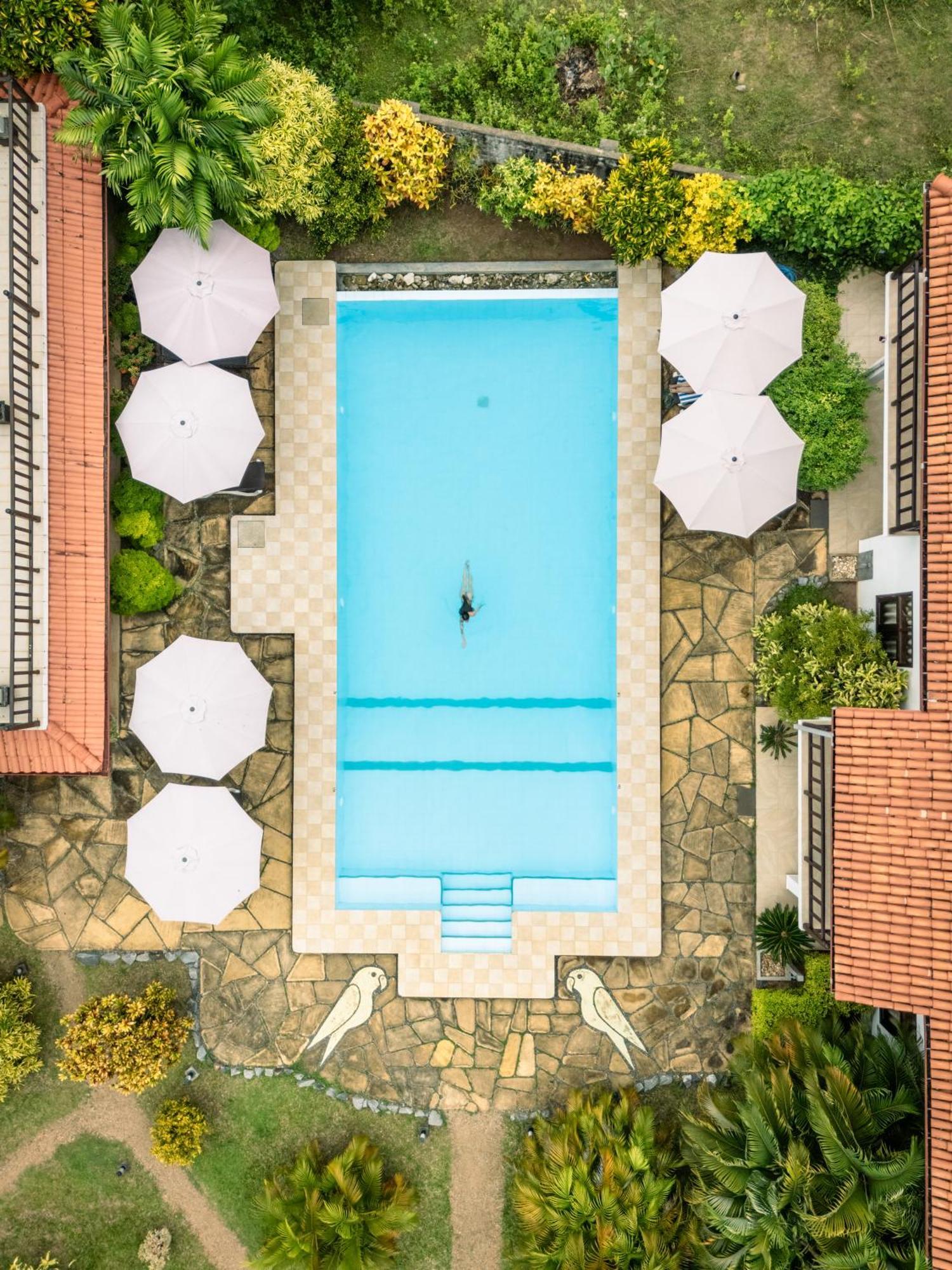 Green Parrot Beach Resort Tangalle Exterior foto