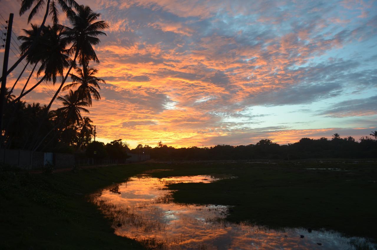 Green Parrot Beach Resort Tangalle Exterior foto