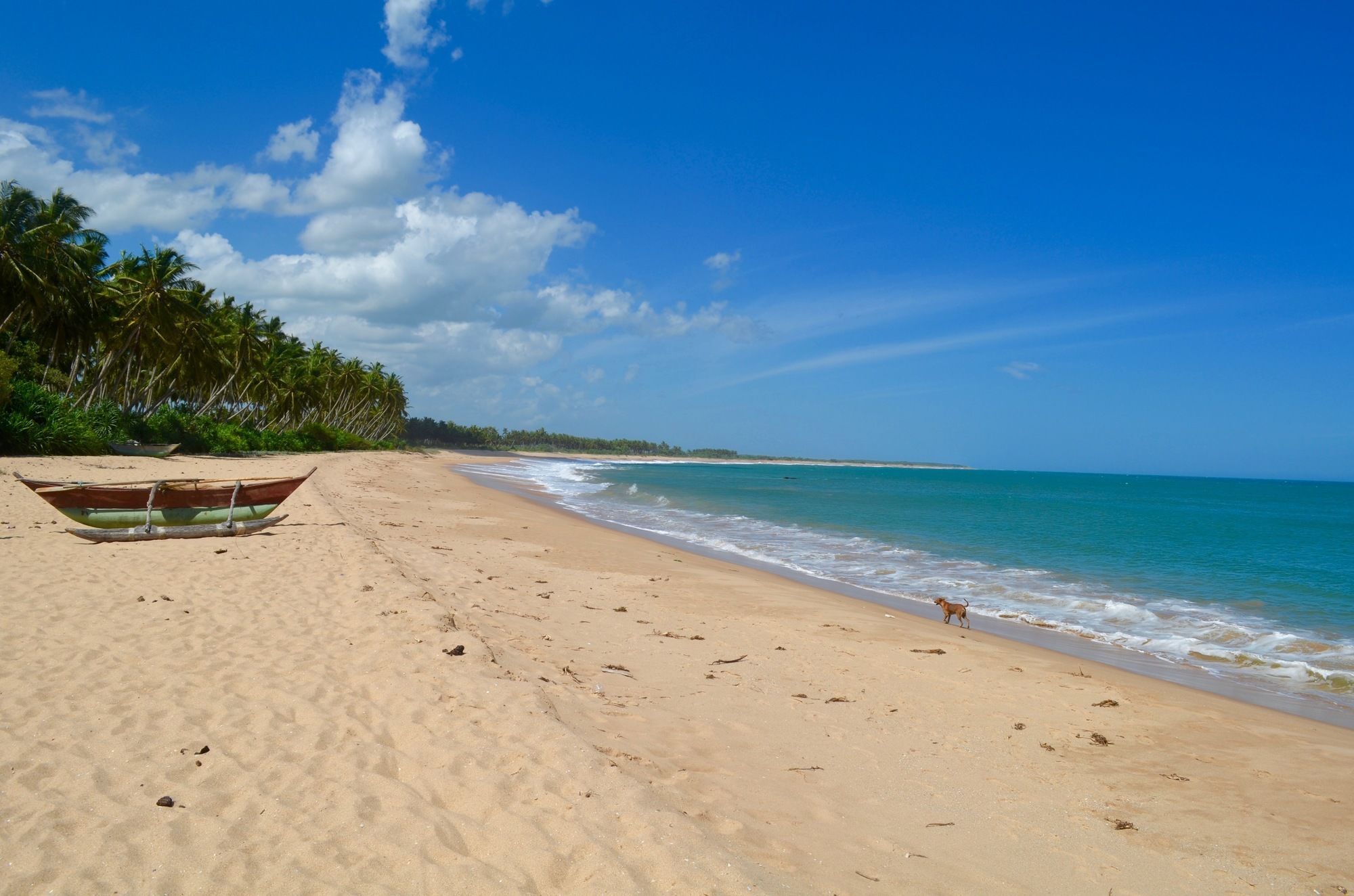 Green Parrot Beach Resort Tangalle Exterior foto